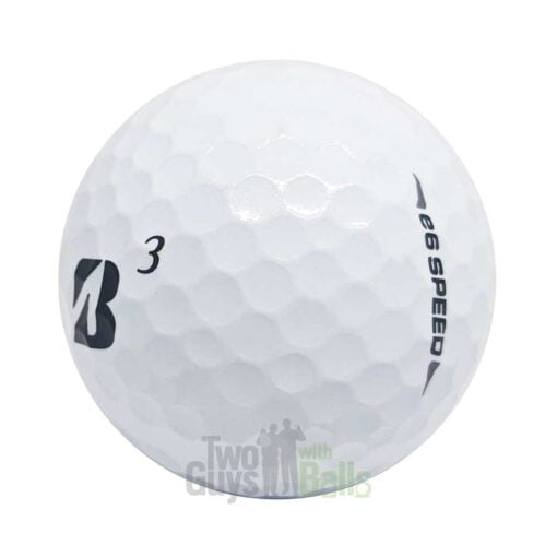 Bridgestone e6 Speed Used Golf Balls | Two Guys with Balls